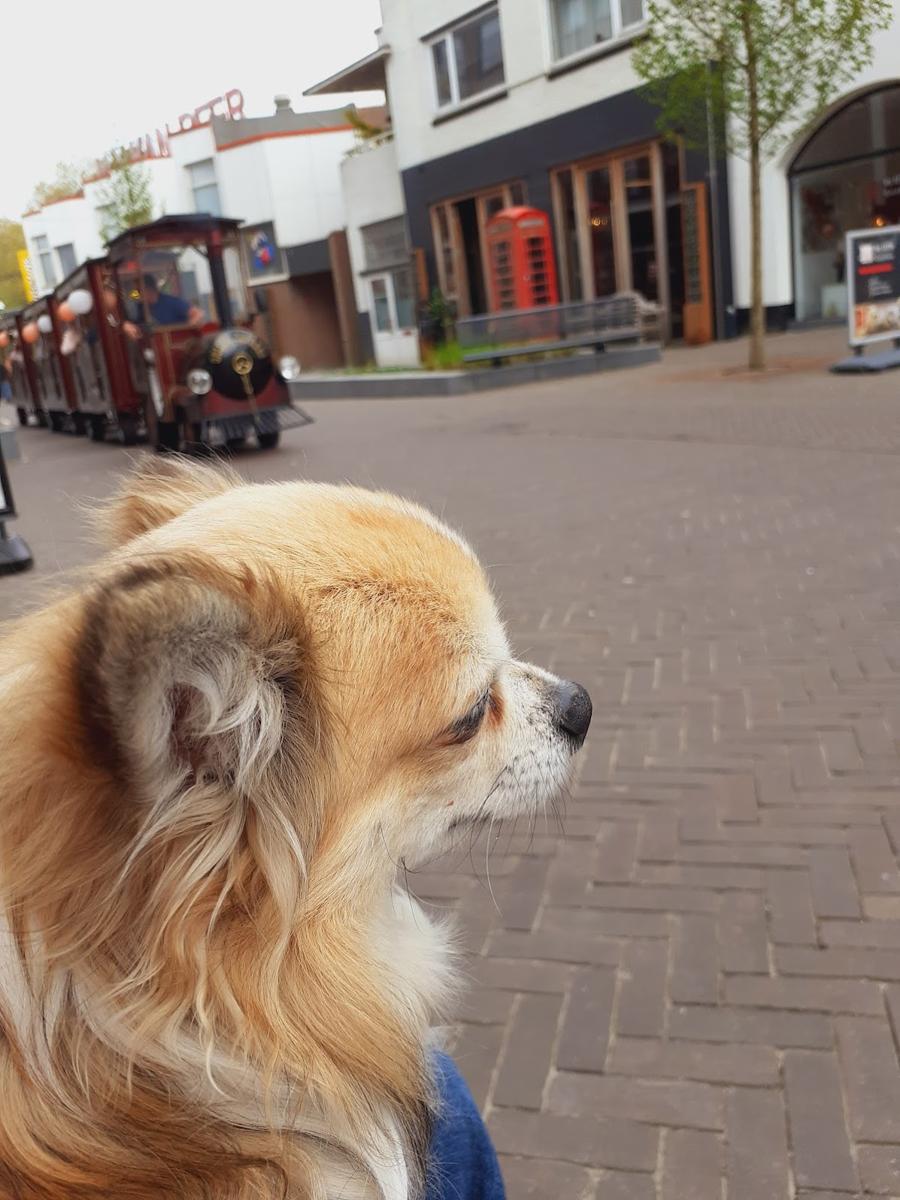 Kringloop Aan Derksstraat 15 Openingstijden