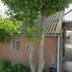 Kringloopwinkel De Snuffelschuur Rd Leersum Meubels